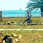 θαλασσινό αγέρι Casa de hóspedes